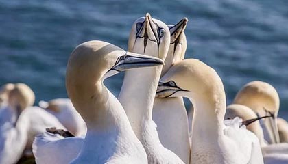 B体育(中国)官方网站-英超激烈争夺，豪门战火升腾