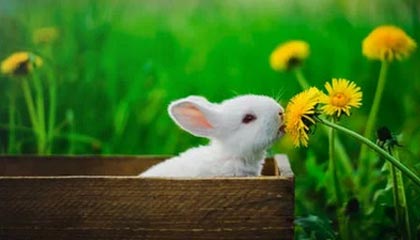 B体育(中国)官方网站-英超激烈争夺，豪门战火升腾