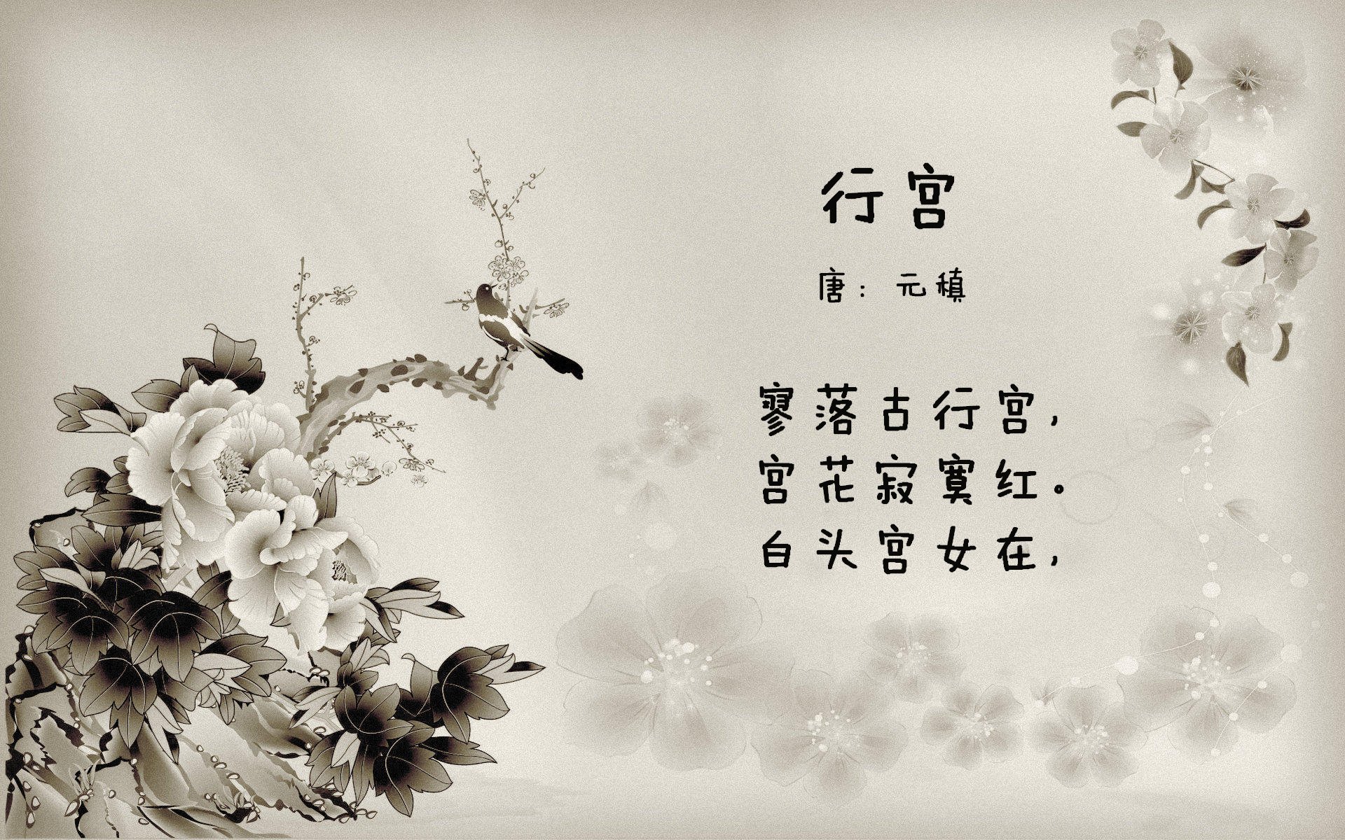 _凯尔特人再度高奏凯歌，排名稳步提升_，凯尔特人巅峰
