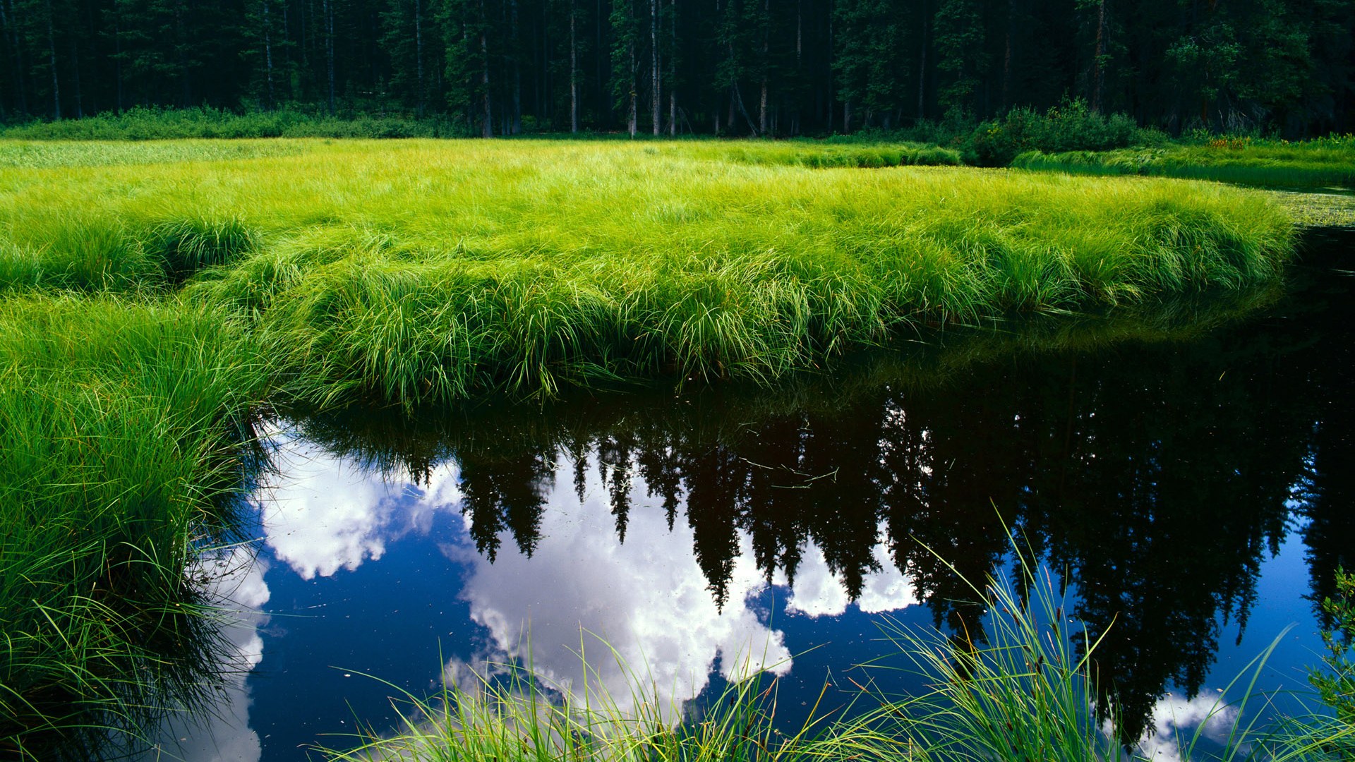 b体育电竞-【赛事统计】关键数据解析与趋势预测，业务高手必修课_如何看懂关键数据