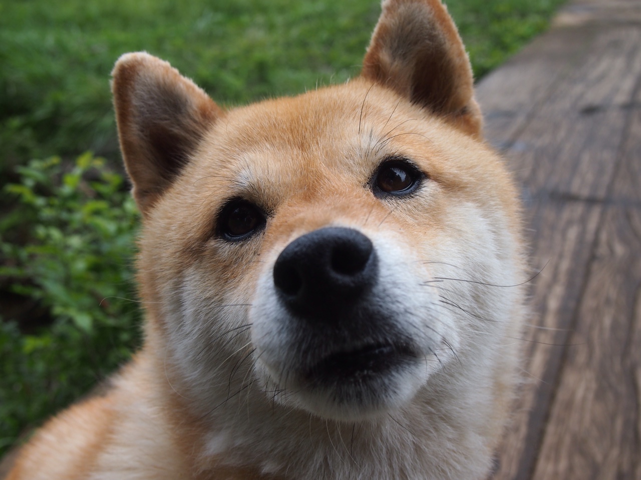 青少年篮球专项训练中心在多地落成,夯实青训基础,青少年篮球学校