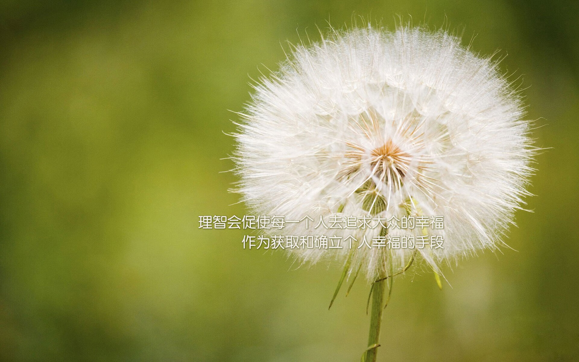 英超球队基于情绪变化数据制定比赛后心理干预计划