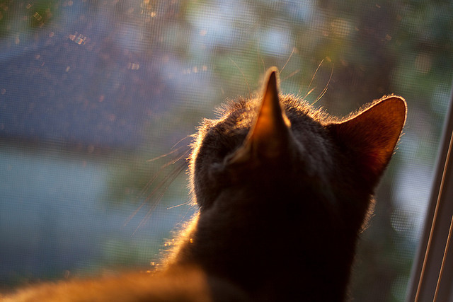 B体育中国官方平台-世界网坛格局重塑 新生代全面崛起，世界网坛第一人是谁