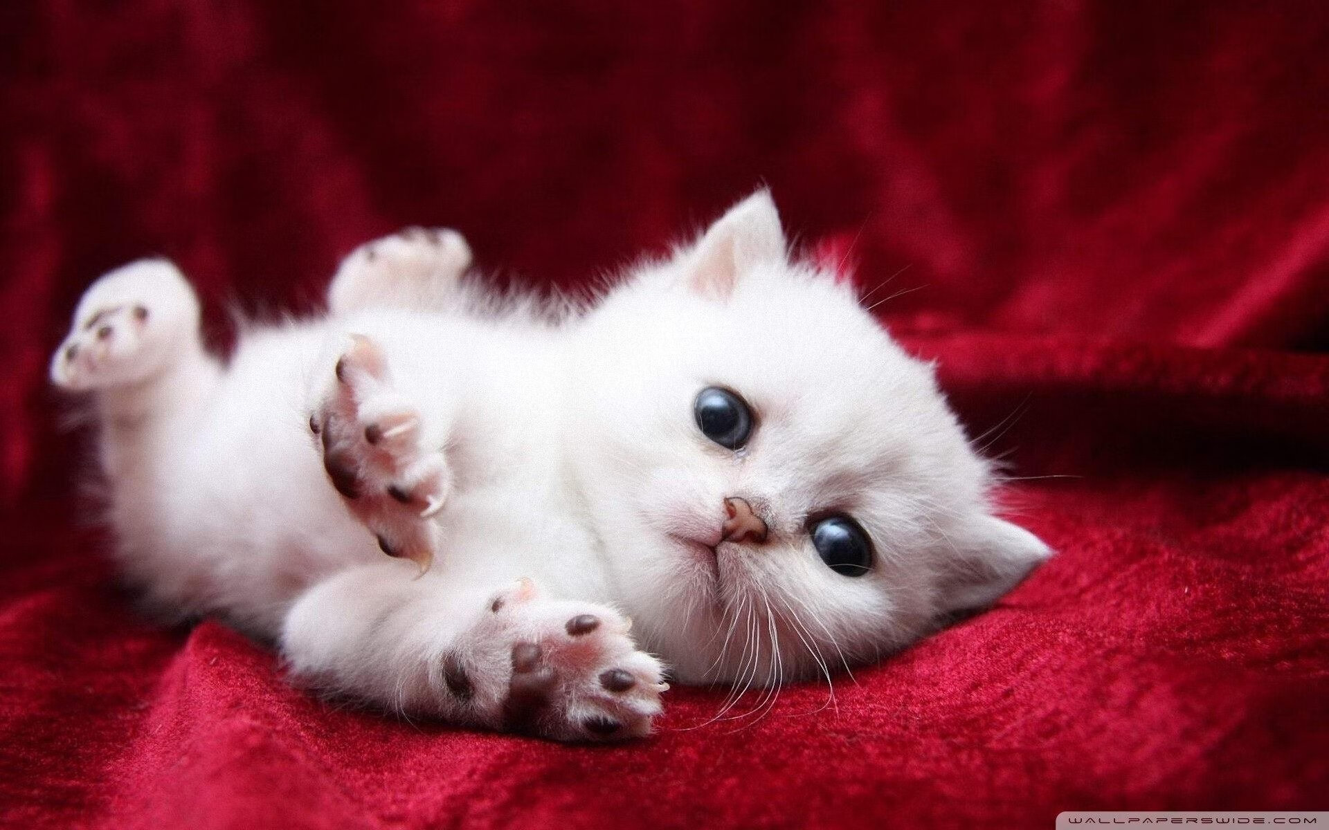 b体育平台-博卡青年禁区内配合不足，博卡青年 竞技