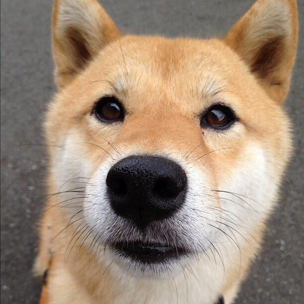 巴萨新人轮换激活场上年轻活力,巴萨新转会