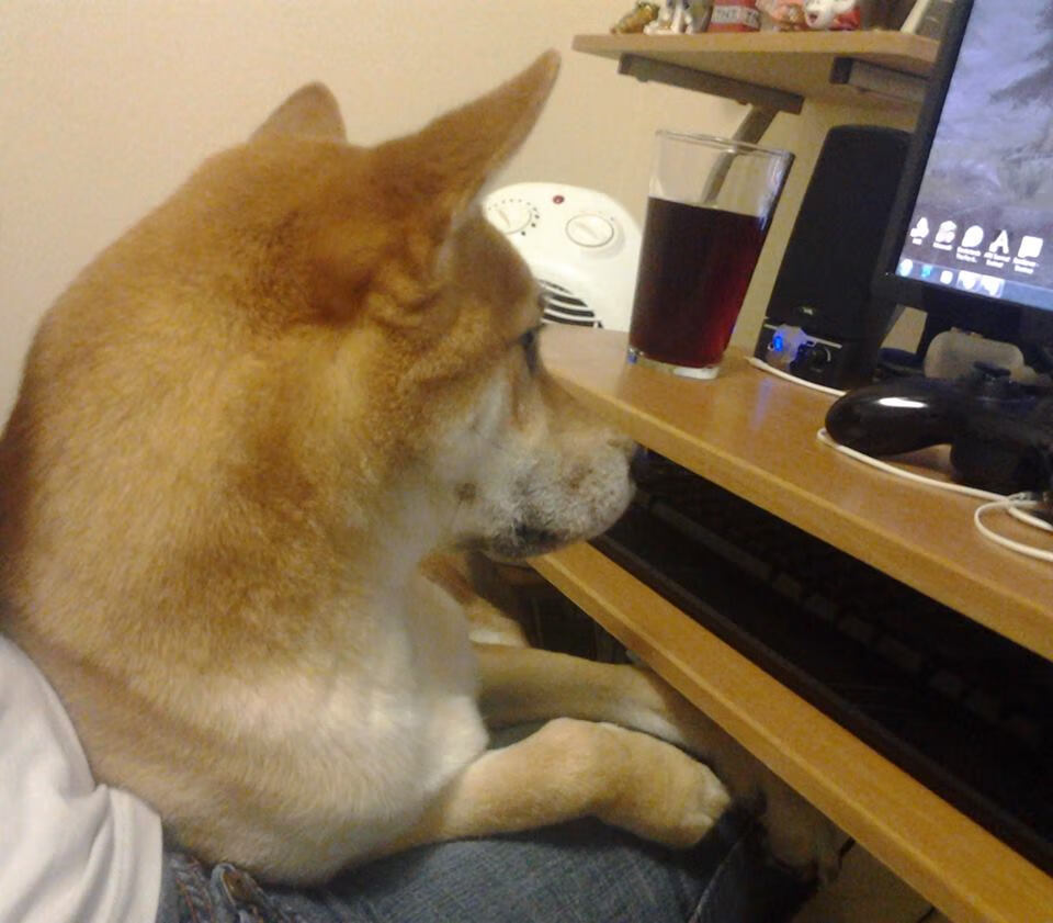 球队是否建立反控体系应对高节奏快推进战术