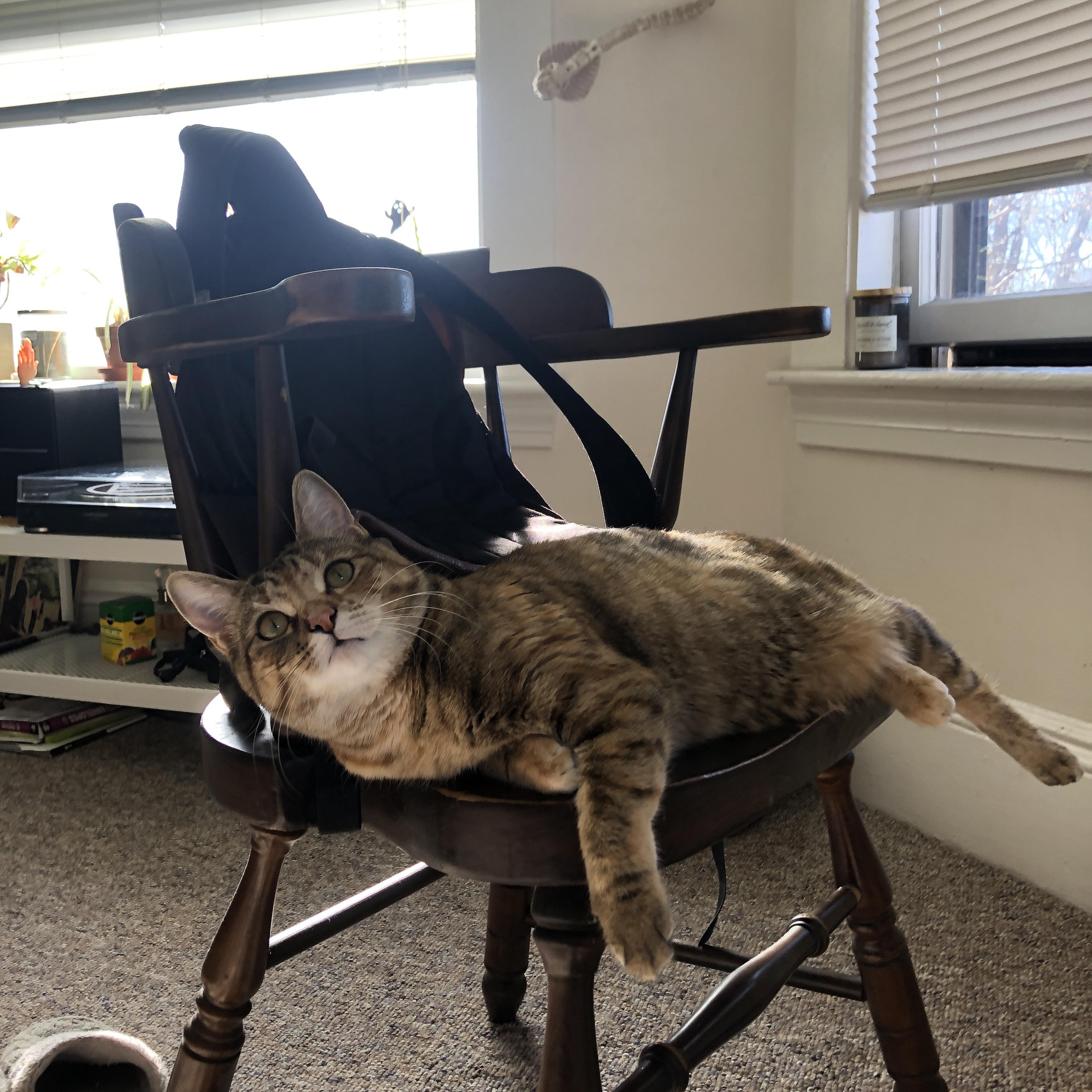 职业球员伤病康复机制是否足够专业,足球运动员康复