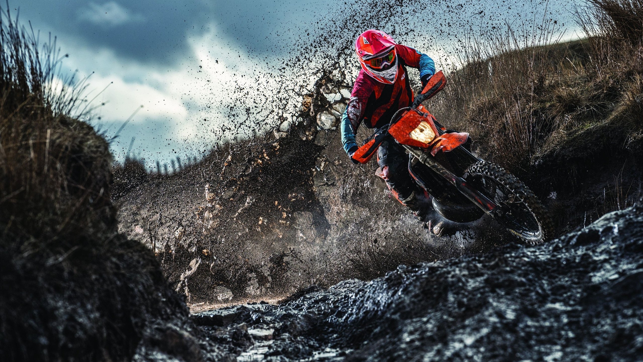 法甲未来掌门人：新星崭露头角！，法甲前瞻