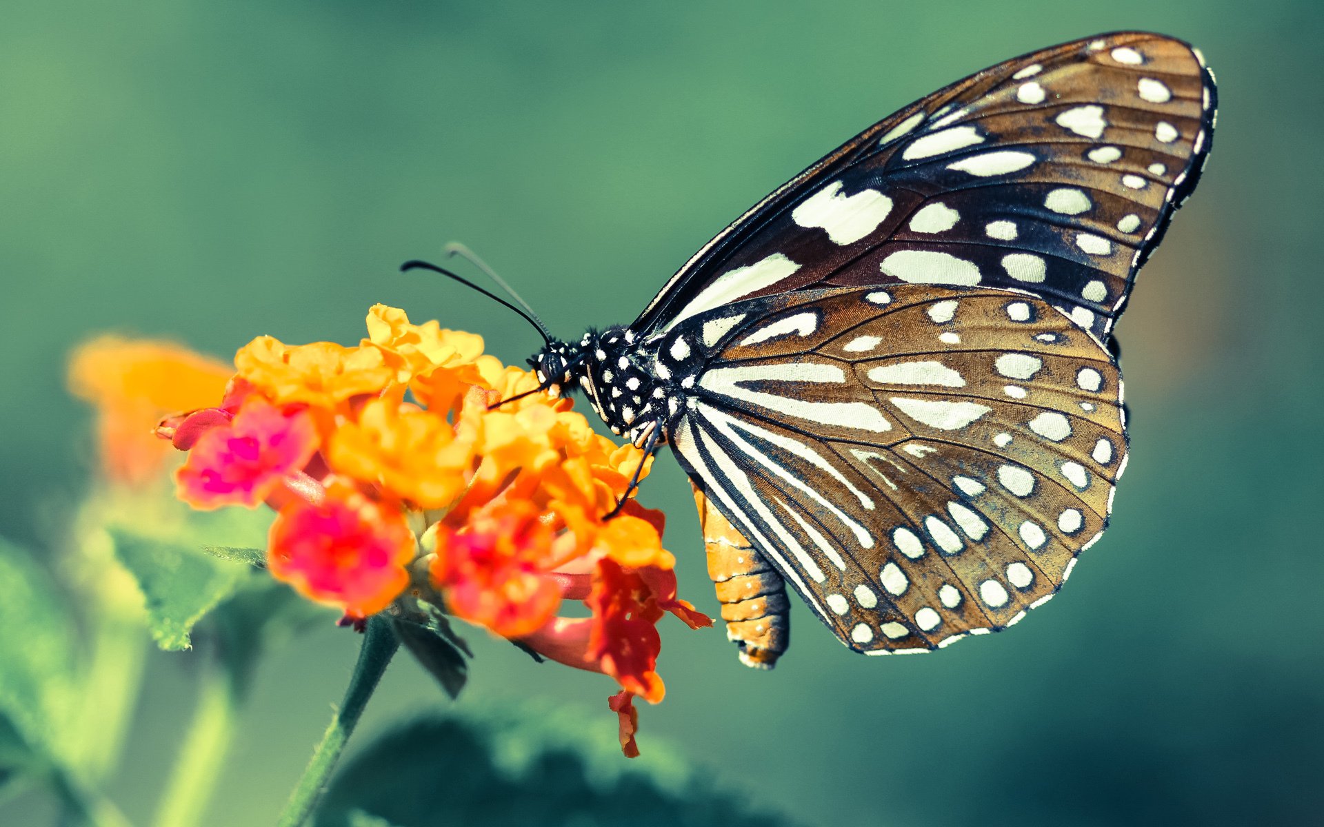 B体育中国官方平台-青少年足球科技创新大赛火热开启，激发未来足球科技潜能，青少年足球普及知识
