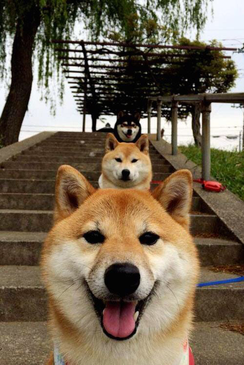 青训考核标准加入认知测试评估战术理解力，青训训练内容